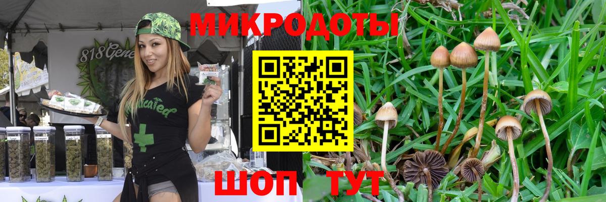 Благодарный  Псилоцибиновые грибы мицелий  Псилоцибиновые грибы прущие грибы  Вход с VPN 