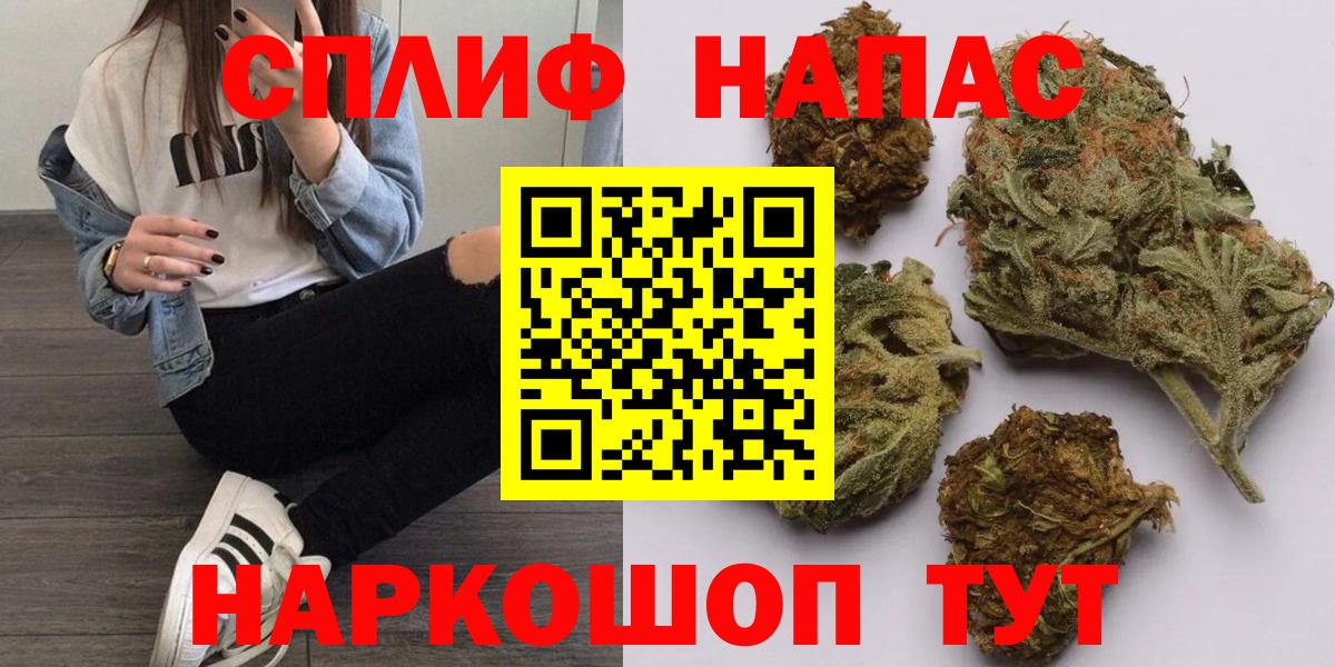 Канабис планчик Благодарный